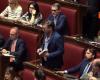 Bagarre au Parlement, le Bureau de la Chambre suspend 11 députés : parmi eux aussi Iezzi et Donno. Fontana: «L’affrontement ne doit jamais se transformer en violence»