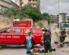 Deux chiots restent coincés dans un fossé de drainage dans la région de Palerme, sauvés par les pompiers – BlogSicilia