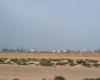 Libye. La NOC vise deux millions de barils de pétrole brut par jour