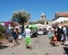 Le marché de San Pantaleo sera de retour le 4 juillet La Nuova Sardegna