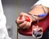 Journée du donateur, président d’Avis: «Premières marques en Italie pour le sang, mais il y a une pénurie de plasma» – Actualités Ancona-Osimo – CentroPagina