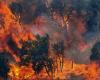 La Région Campanie lance le plan contre les incendies de forêt