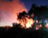 Incendies de végétation dans la zone de Campofelice di Roccella, pompiers et volontaires sont intervenus – BlogSicilia