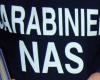 Opération des Carabiniers Nas de Salerne: fermeture de quinze sites étrangers de vente illégale de drogue