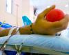 Les dons de sang en hausse, plus de 206 mille en Toscane en 2023 : « Le défi est d’augmenter les jeunes »
