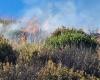Incendies, 8 foyers en trois jours sur les collines du Cilento. La saison des incendies a commencé