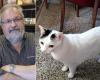 Paolo Carù est mort, son chat Luigi est laissé seul : appel pour trouver une nouvelle famille pour le chat du roi du vinyle