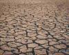 Alerte sécheresse dans les Abruzzes : les agriculteurs craignent le pire et les récoltes sont menacées