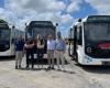 Fiumicino, Caroccia : « Les trois nouveaux bus électriques sont un pas vers une commune plus verte »