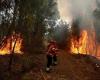 Castellabate, huit incendies en trois jours: «Ce sera un coup dur»
