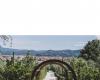 Florence, le camping (fermé depuis 2015) devient désormais un jardin au milieu des oliviers