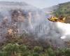 Prévention des incendies, 620 forestiers au travail dans la région d’Agrigente