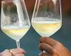 La gastronomie et le vin du Latium relancent le tourisme à Fiumicino : grand succès pour “La Via del Gusto”