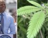 Le gouverneur du Maryland annule 175 000 condamnations liées à la marijuana au cours des dernières décennies