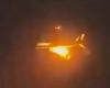 Un avion heurté par un oiseau prend feu en vol, vidéo de l’incendie du Boeing 737 en Nouvelle-Zélande