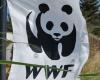 Plan du parc national du Gargano. WWF Foggia remporte l’appel pour l’accès à l’information environnementale