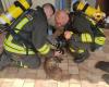 chien sauvé par les pompiers Reggionline -Telereggio – Dernières nouvelles Reggio Emilia |