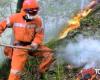 Prévention des incendies dans les Pouilles, accord Protection Civile-Arif : « Capacité opérationnelle renforcée »