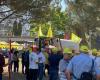 Mobilisation Coldiretti Calabria « Assez de sangliers » : les tracteurs défilent à Cosenza