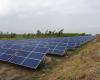 Panneaux solaires dans la campagne frioulane : les installations doivent être partagées avec le territoire