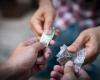 Trafic d’héroïne à Cosenza, 5 mesures de précaution mises en œuvre