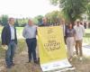 Les « Nuits jaunes » à Alexandrie pour célébrer le Tour de France – Actualités