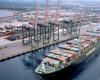 «Un tournant pour les dockers de Gioia Tauro et Taranto», déclare Ferrante