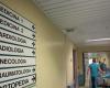 Concours pour jeunes médecins, plus de trois cents candidatures pour les hôpitaux périphériques de Toscane