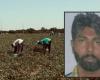 Satnam Singh, l’épouse de l’ouvrier mort dans les champs, s’exprime : “Le propriétaire a confisqué nos téléphones et nous a empêché d’appeler à l’aide”