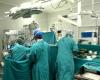 Transplantation multi-organes réalisée à Castellammare : « Geste de civilité »