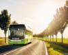 Brindisi : FlixBus renforce son offre pour l’été et renforce les liaisons avec la région