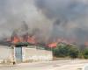 Vaste incendie à Maruggio, les flammes touchent les maisons. Autres incendies dans la province ionienne