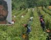 Tragédie à Agro Pontino, la mort inhumaine de Satnam Singh et l’appel de la CGIL Molise