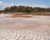 Il y a une alarme de sécheresse en Calabre, Soical : “Ce sera un été difficile”