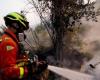 Incendie à Maruggio, forêt et maisons assiégées par les flammes : chasse aux incendiaires avec une récompense de cinq mille euros