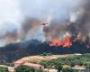 Incendies : Sardaigne, deux Superpumas opérationnels ; 17 millions d’offres