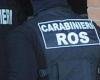 ‘Ndrangheta et meurtres: 14 arrestations, la police des Abruzzes également en action – Pescara