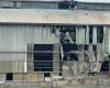 L’explosion dans l’usine de Bolzano, les syndicats: clarté, grève lundi – Haut Adige – Südtirol