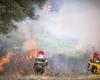 Incendies: 19 interventions en Sardaigne, alarme à Macomer et Guasila | Nouvelles