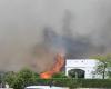 Manduria : “Un mur de feu de dix mètres de haut”, la maison de Paolo Piccione menacée par les flammes LA VIDÉO