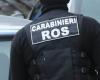 BRANDIZZO-RONDISSONE – Opération des Carabiniers de Catanzaro contre la ‘Ndrangheta : 14 arrestations