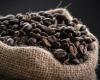Voyage dans le monde du café : quel impact, lequel choisir, comment le préparer