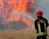 Feux de forêt dans les Pouilles : le rapport des pompiers – Pugliapress