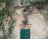 Un “lion” et plus de jardins intérieurs : portes ouvertes à la maison Bagioli / Cesena / Accueil
