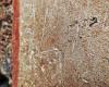 Un touriste vandalise un mur dans les fouilles de Pompéi, bloquées – Actualités