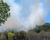 Grand incendie à Genzano: flammes dans la zone de Monte Due Torri. Pompiers et Protection Civile en action
