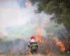 Incendies dans la province de Nisse, touchant même des habitations : l’alerte reste élevée en raison des risques d’incendies