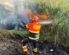 Lutte contre les incendies de forêt à Gravina : une ordonnance syndicale fixe des obligations et des interdictions
