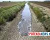 “En Basilicate, la crise de l’eau pourrait s’aggraver”. C’est la situation