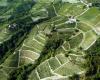 10 ans des paysages viticoles UNESCO du Piémont | Région Piémont | Le Piémont informe